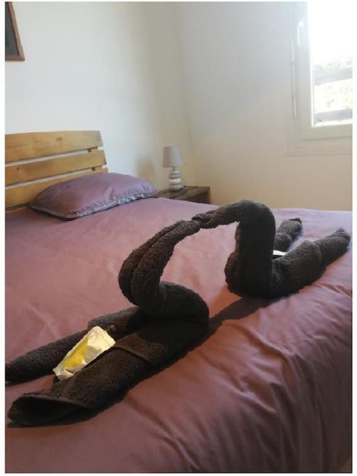 Apartmán Le Nid Aureilhan  Exteriér fotografie